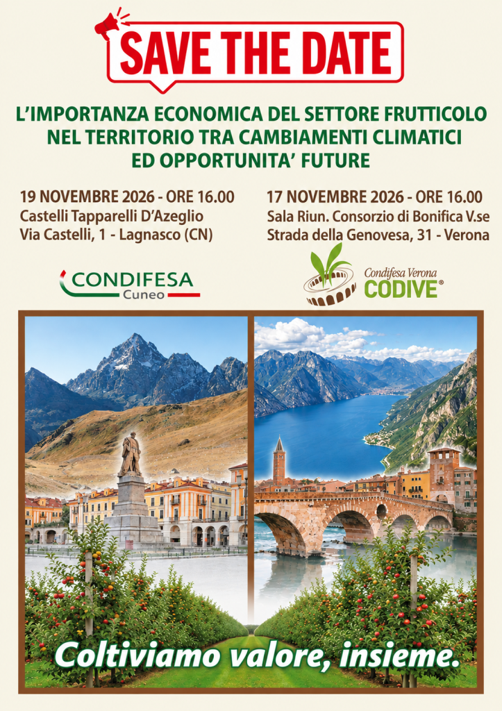 Convegno 2026