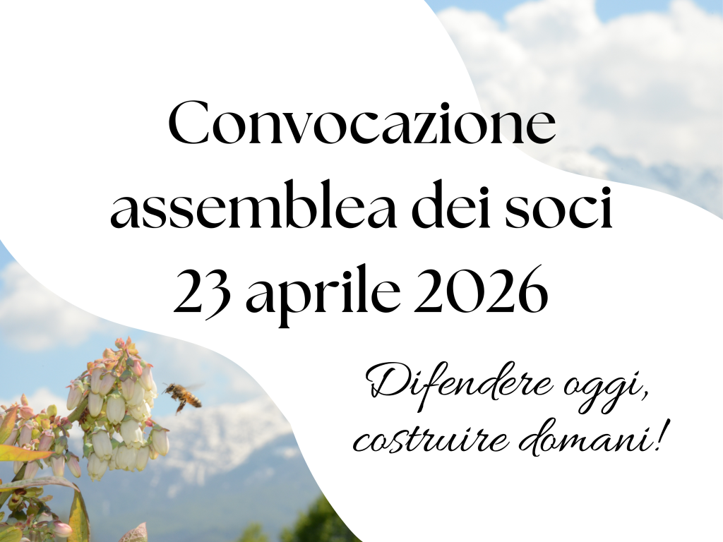 Convocazione assemblea dei soci