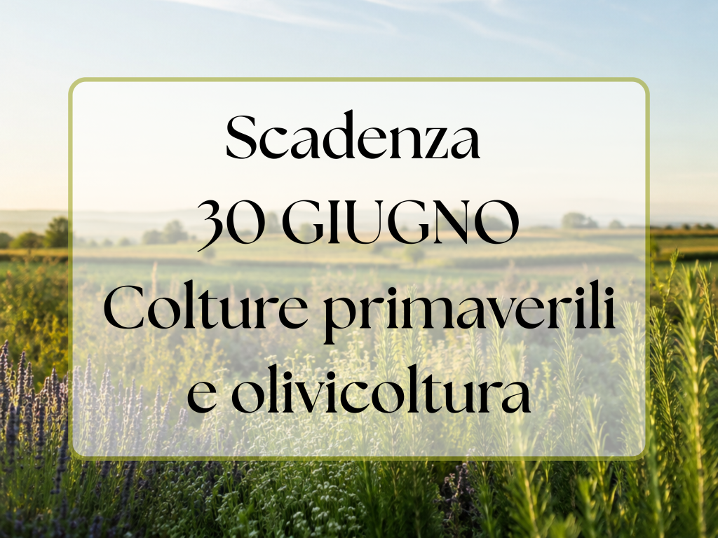 Scadenza assunzioni Colture Primaverili e Olivicoltura
