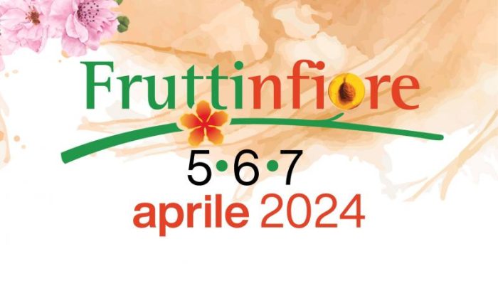 Campagna assicurativa 2024